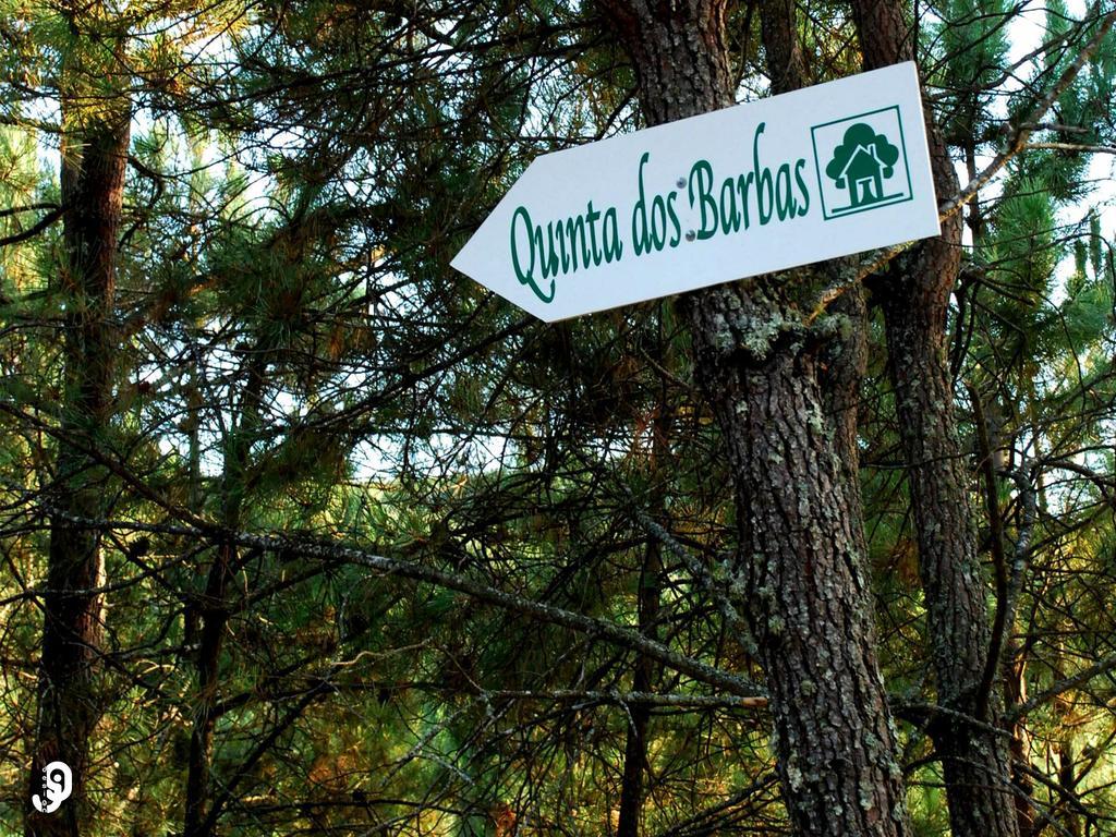 Quinta Dos Barbas Oliveira do Hospital Bagian luar foto